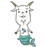魔羯座